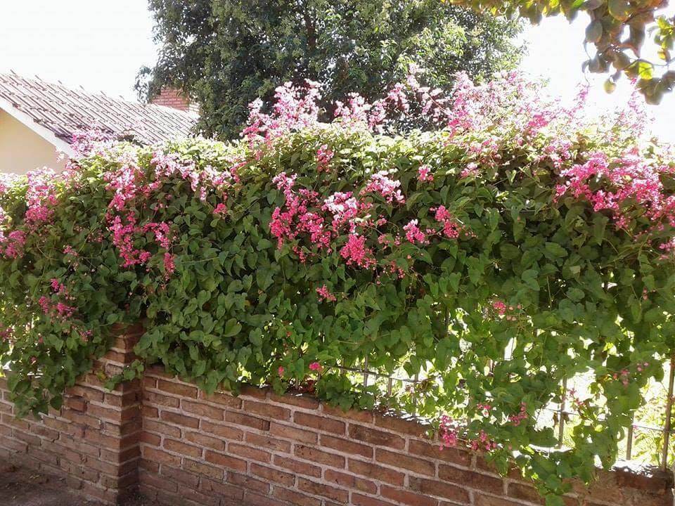 Casa De Silvia *